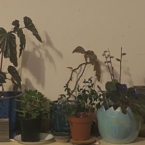 Meet your Posher, Emma